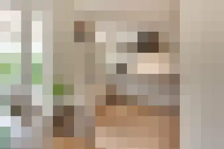 De Hofstee 13 Heiloo thumbnail 14