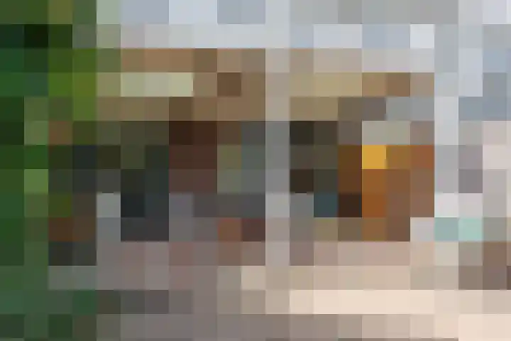 De Hofstee 13 Heiloo thumbnail 38