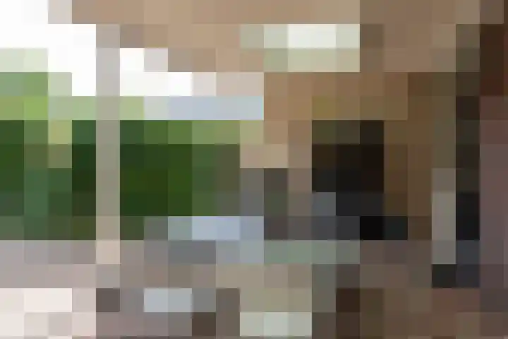 De Hofstee 13 Heiloo thumbnail 40
