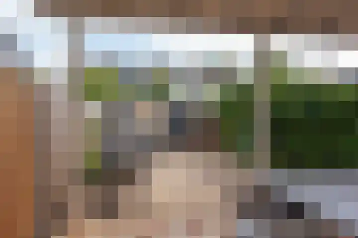 De Hofstee 13 Heiloo thumbnail 5