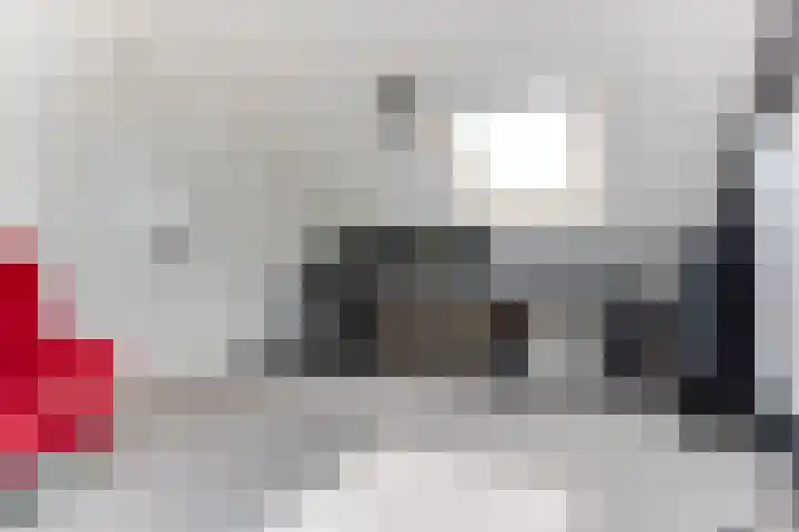 De Hofstee 18 Heiloo thumbnail 33