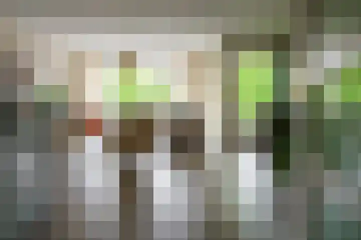 De Höfte 18 Borne thumbnail 13