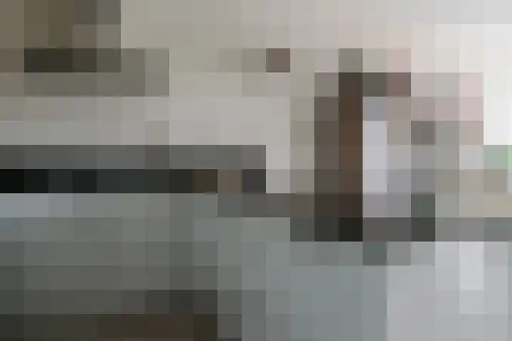 De Höfte 18 Borne thumbnail 17