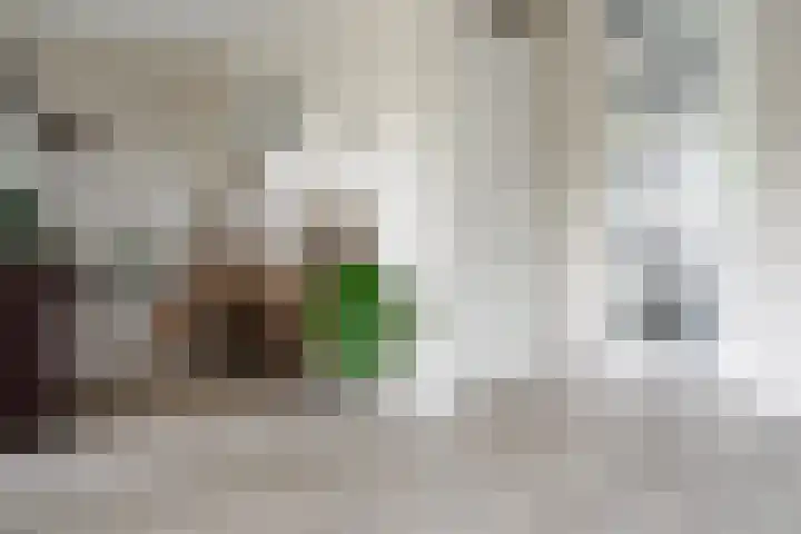 De Höfte 18 Borne thumbnail 19