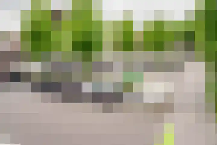 De Höfte 18 Borne thumbnail 37
