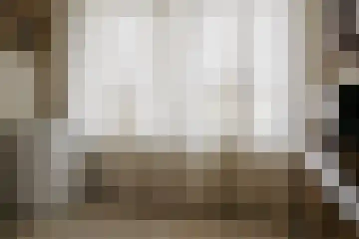 De Höfte 18 Borne thumbnail 8