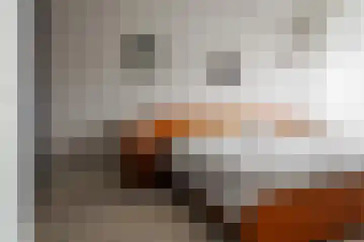 De Höfte 18 Borne thumbnail 9