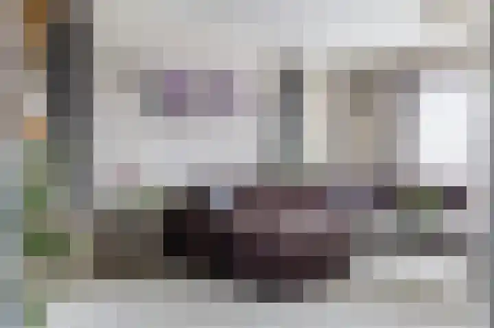 De Hoge Loo 29 Emmen thumbnail 13