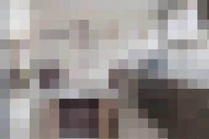 De Hoge Loo 29 Emmen thumbnail 16
