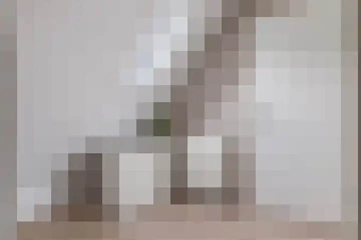 De Hoge Loo 29 Emmen thumbnail 23