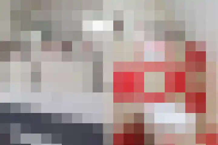 De Hoge Loo 29 Emmen thumbnail 26