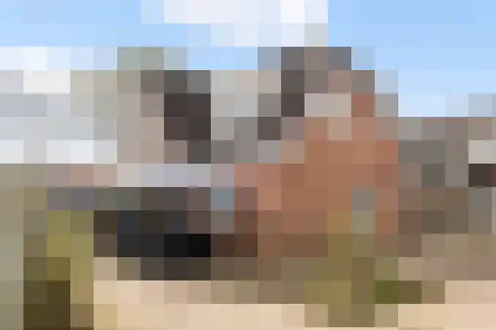 De Hoge Loo 29 Emmen thumbnail 27