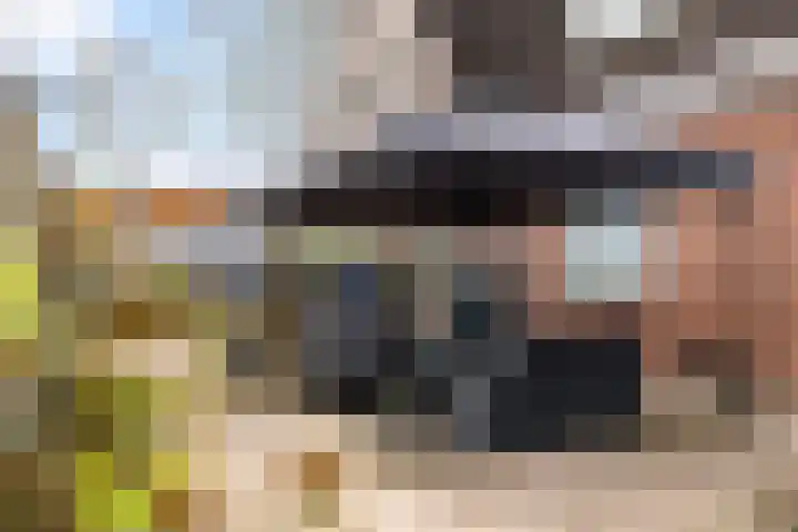 De Hoge Loo 29 Emmen thumbnail 28