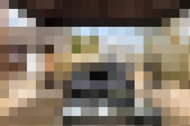 De Hoge Loo 29 Emmen thumbnail 29