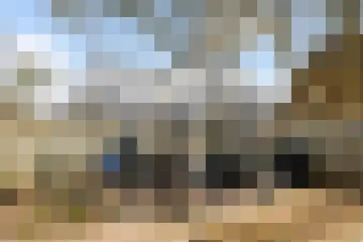 De Hoge Loo 29 Emmen thumbnail 31