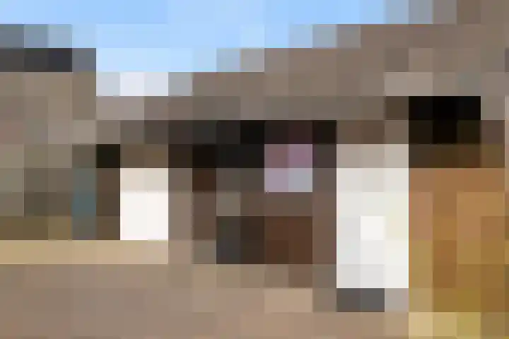 De Hoge Loo 29 Emmen thumbnail 33