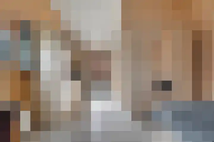 De Hoge Loo 29 Emmen thumbnail 35
