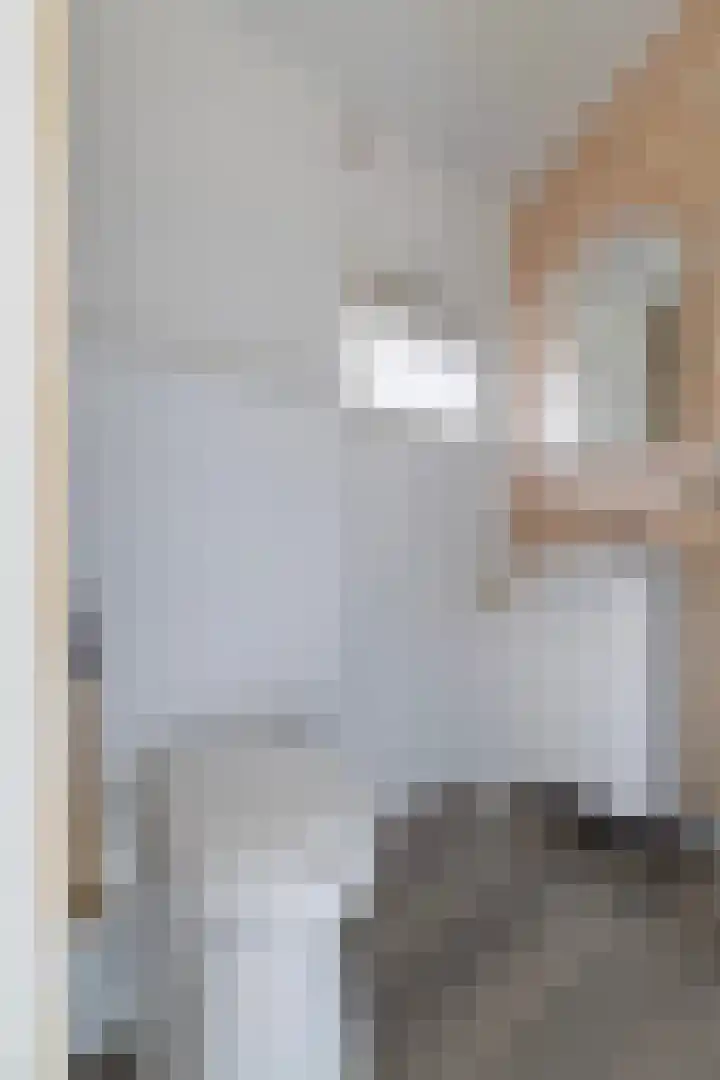 De Hoge Loo 29 Emmen thumbnail 38
