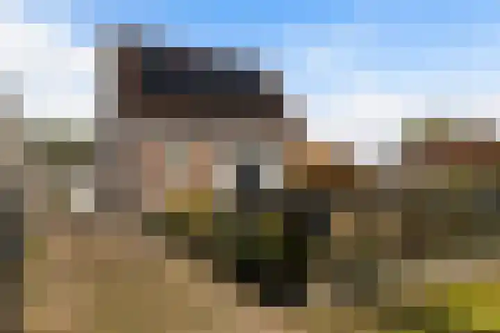 De Hoge Loo 29 Emmen thumbnail 5