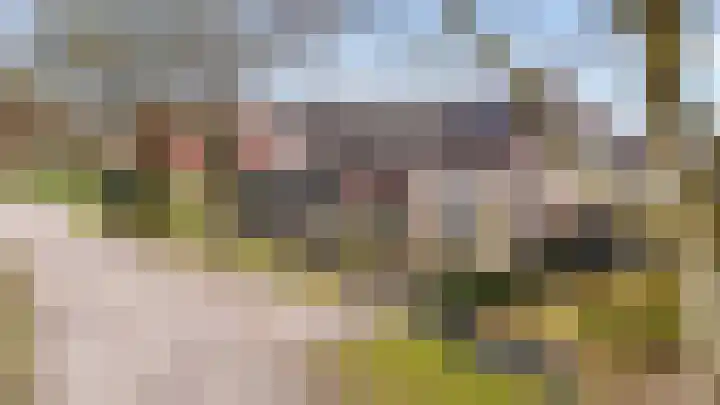 De Hoge Loo 29 Emmen thumbnail 6