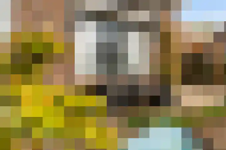 De Hoge Loo 29 Emmen thumbnail 9
