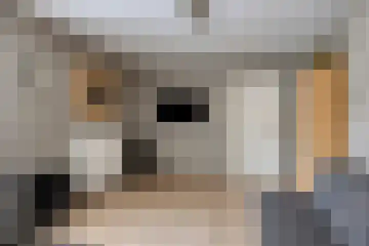 De Hoge Wal 11 Heesch thumbnail 17
