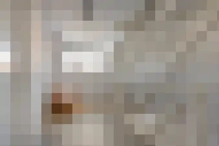 De Hoge Wal 11 Heesch thumbnail 20
