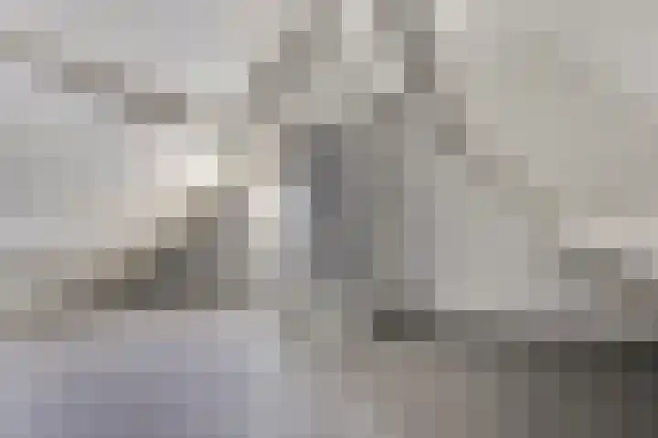 De Hoge Wal 11 Heesch thumbnail 35