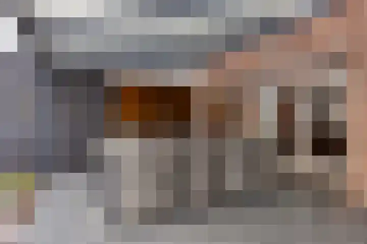 De Hoge Wal 11 Heesch thumbnail 42