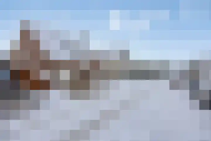 De Hoge Wal 11 Heesch thumbnail 51