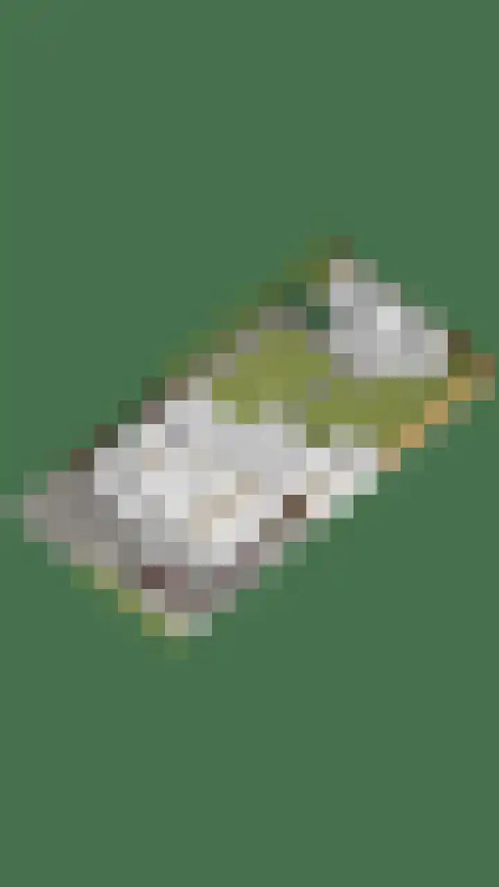 De Hoge Wal 11 Heesch thumbnail 56