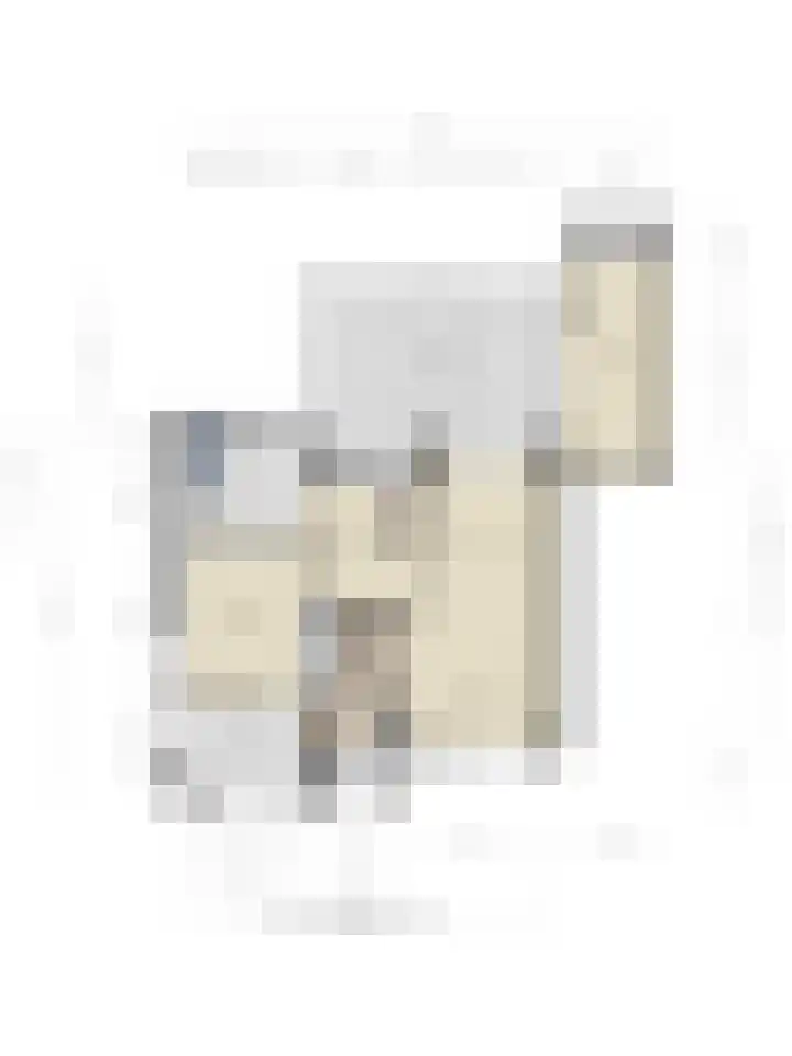 De Hoge Wal 11 Heesch thumbnail 57