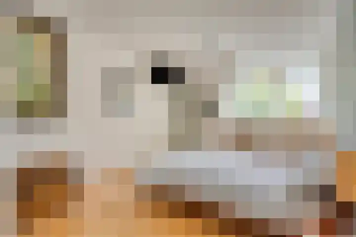 De Hoge Wal 32 Heesch thumbnail 16