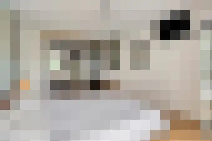 De Hoge Wal 32 Heesch thumbnail 17