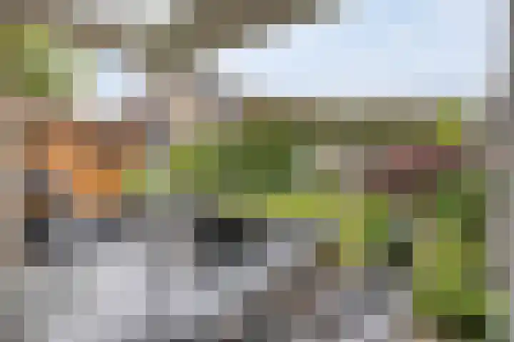De Hoge Wal 32 Heesch thumbnail 30