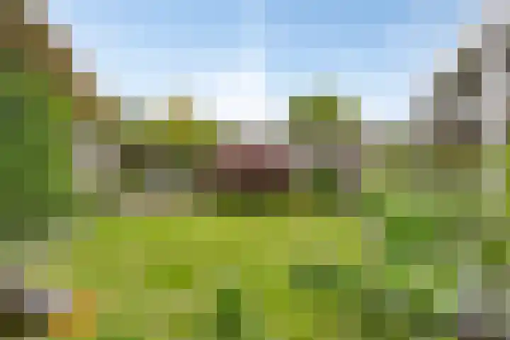 De Hoge Wal 32 Heesch thumbnail 31