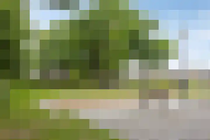 De Hoge Wal 32 Heesch thumbnail 32