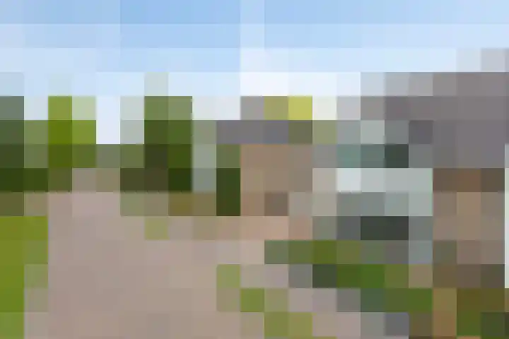 De Hoge Wal 32 Heesch thumbnail 36