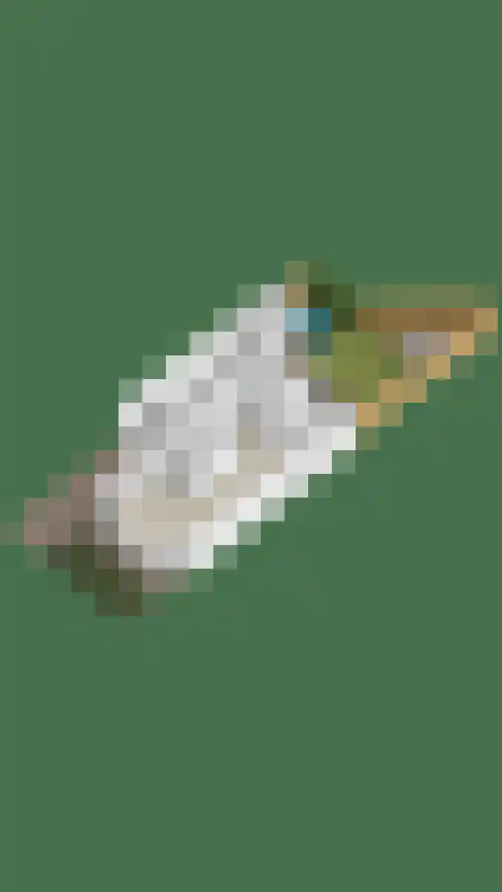 De Hoge Wal 32 Heesch thumbnail 39