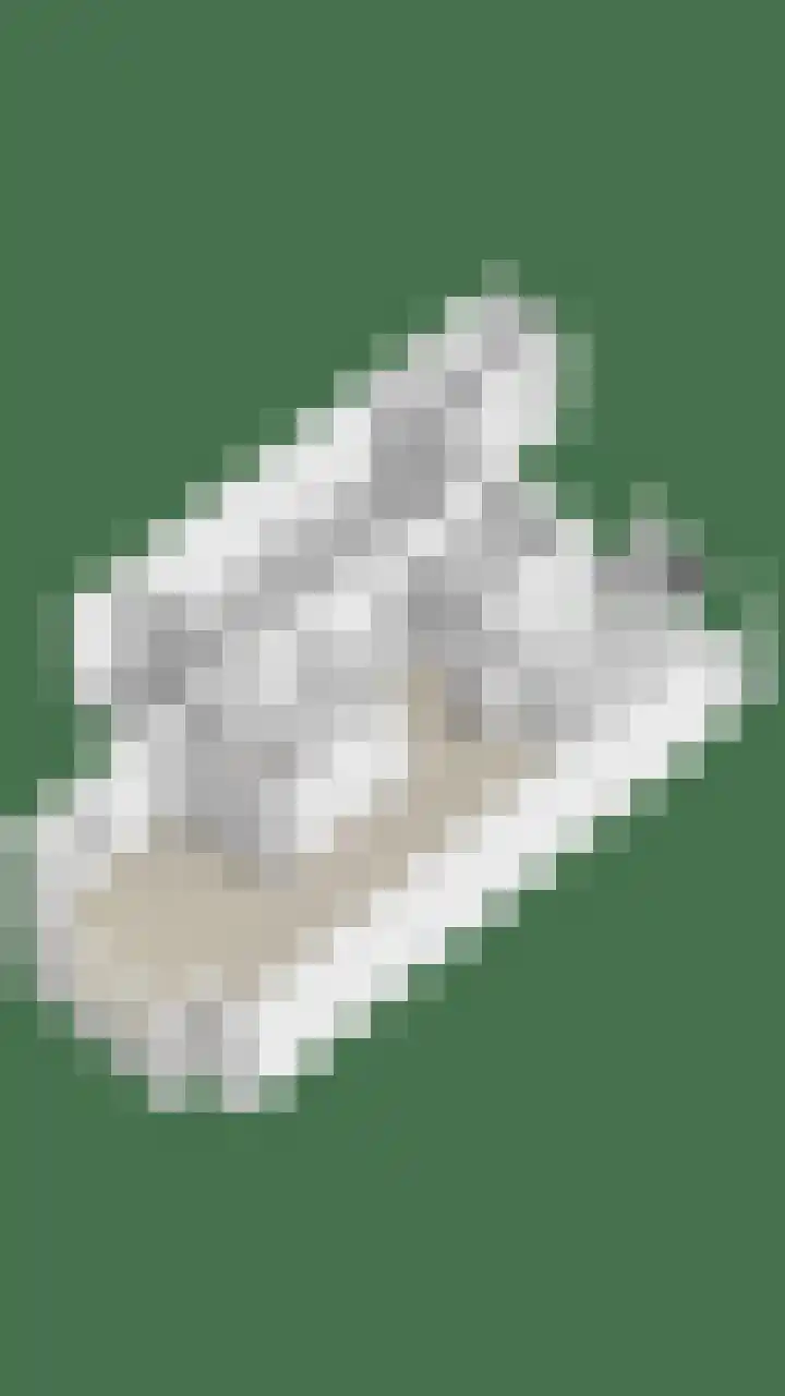 De Hoge Wal 32 Heesch thumbnail 41