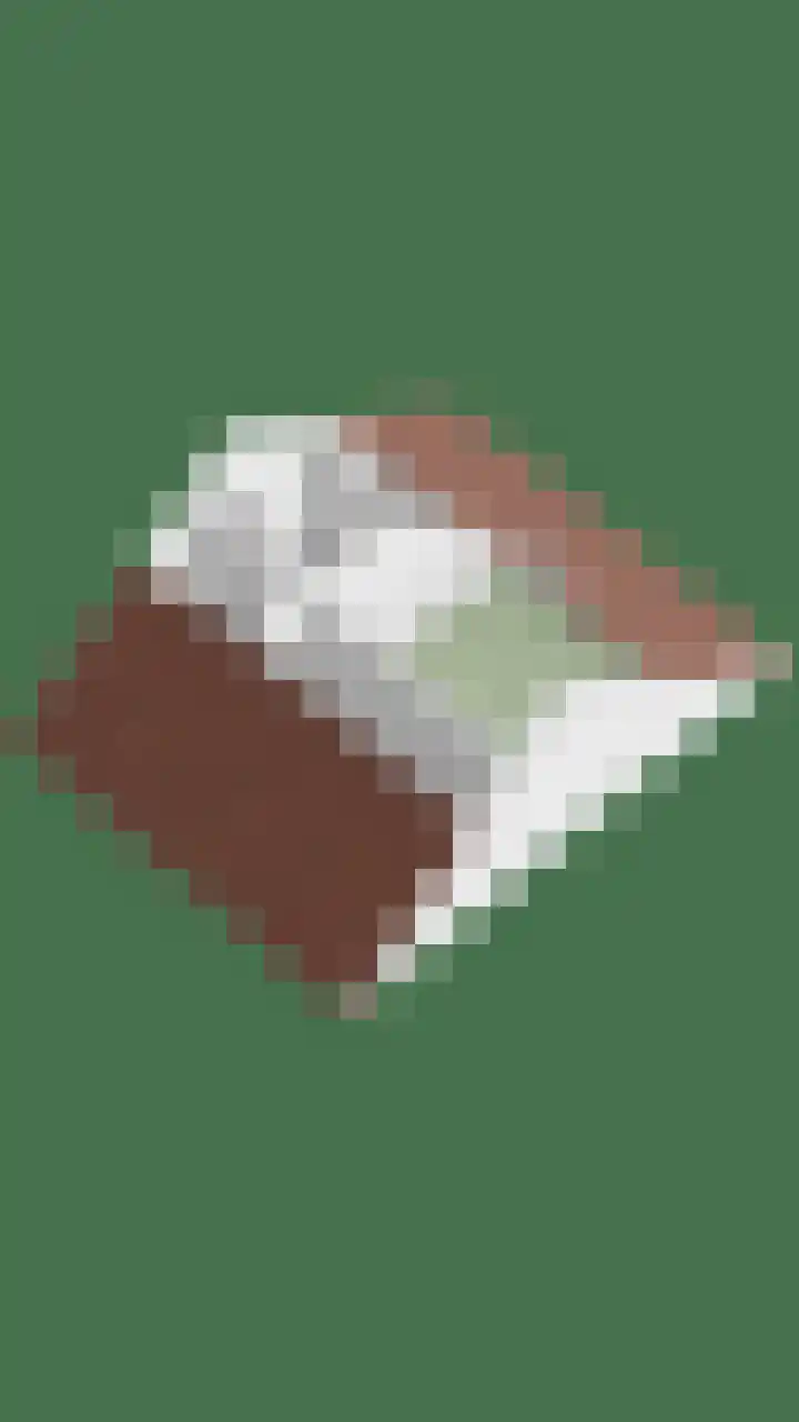 De Hoge Wal 32 Heesch thumbnail 45