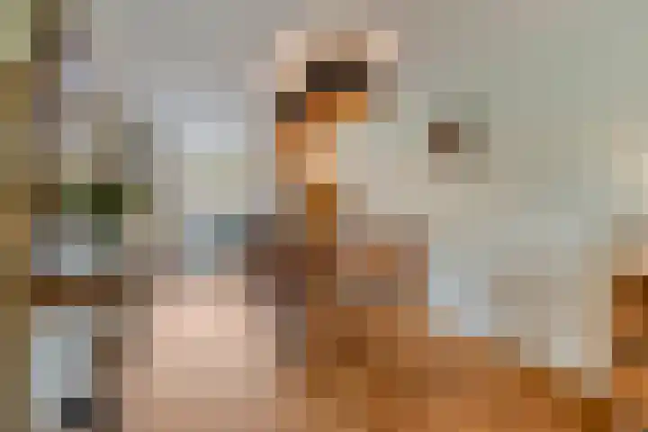 De Hoge Wal 32 Heesch thumbnail 9