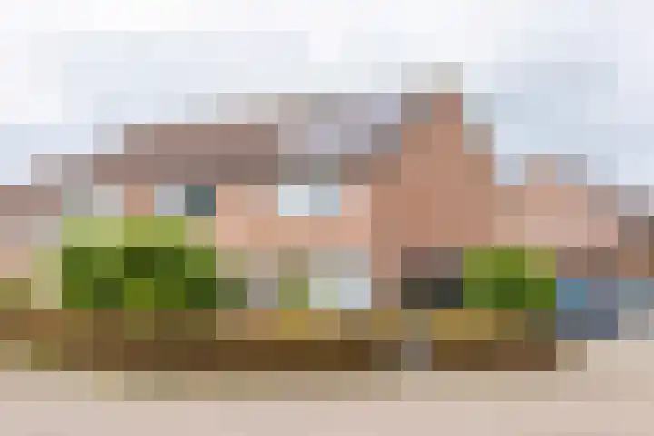 De Hollandergraven 9 in Westerhaar-Vriezenveensewijk