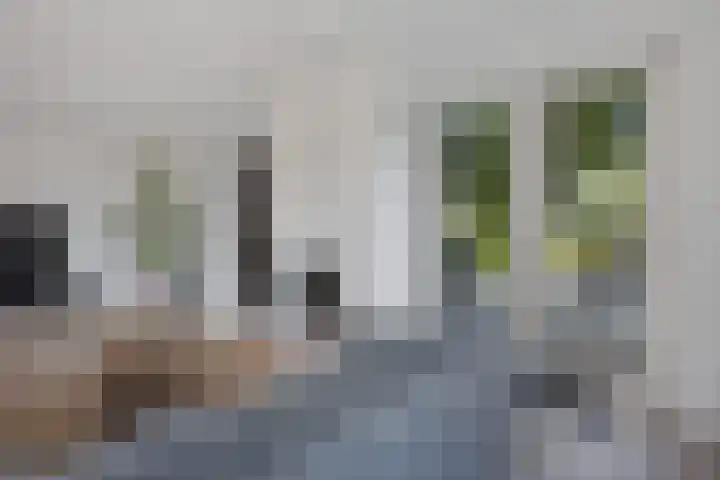 De Holterij 12 Schildwolde thumbnail 12