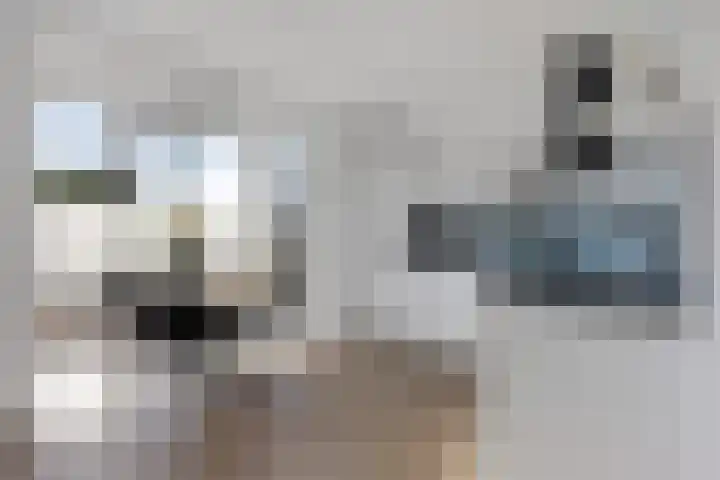 De Holterij 12 Schildwolde thumbnail 14