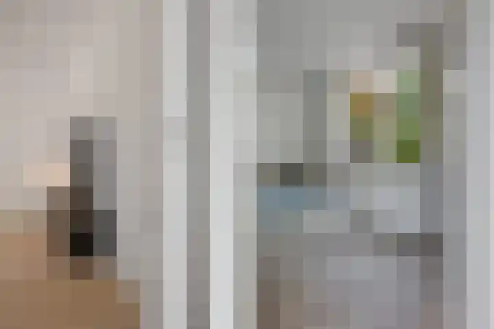De Holterij 12 Schildwolde thumbnail 17