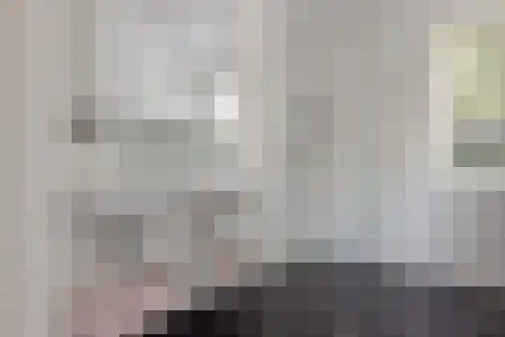De Holterij 12 Schildwolde thumbnail 19