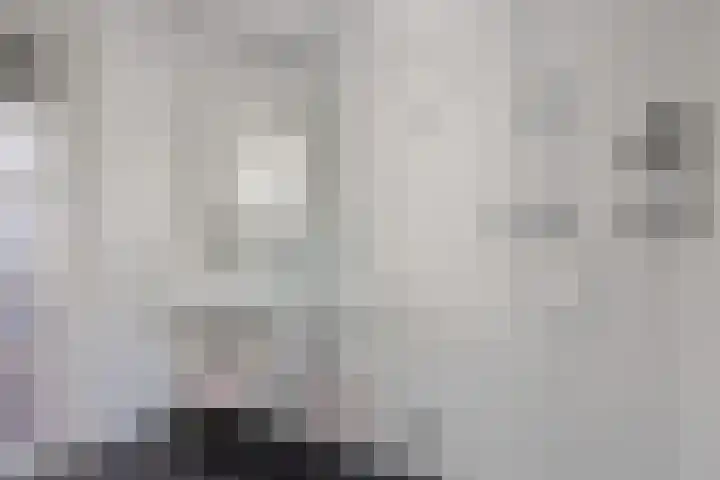 De Holterij 12 Schildwolde thumbnail 20