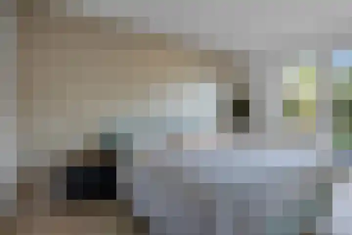 De Holterij 12 Schildwolde thumbnail 23