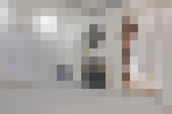 De Holterij 12 Schildwolde thumbnail 32